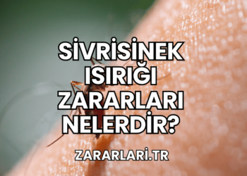 Sivrisinek Isırığı Zararları Nelerdir?