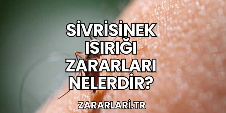 Sivrisinek Isırığı Zararları Nelerdir?