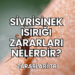 Sivrisinek Isırığı Zararları Nelerdir?
