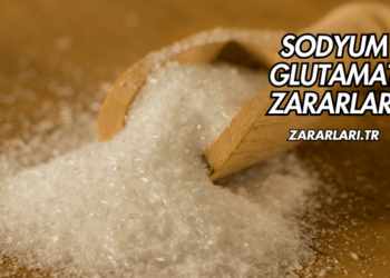 Sodyum Glutamat Zararları