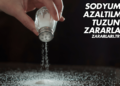 Sodyumu Azaltılmış Tuzun Zararları