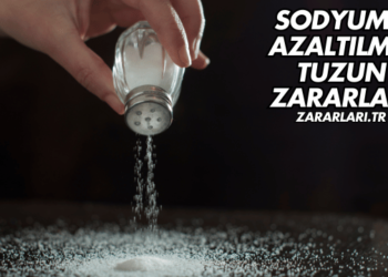 Sodyumu Azaltılmış Tuzun Zararları