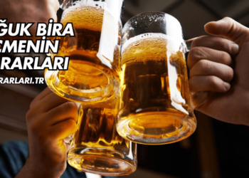 Soğuk Bira İçmenin Zararları