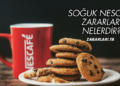 Soğuk Nescafe Zararları Nelerdir?