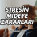 Stresin Mideye Zararları
