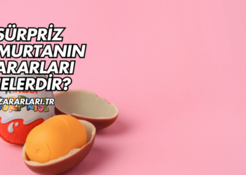 Sürpriz Yumurtanın Zararları Nelerdir?