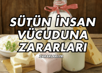 Sütün İnsan Vücuduna Zararları