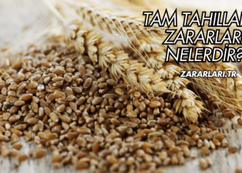 Tam Tahılların Zararları Nelerdir?
