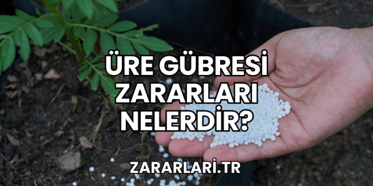 Üre Gübresi Zararları Nelerdir?