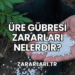 Üre Gübresi Zararları Nelerdir?