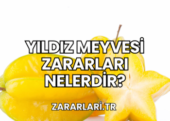 Yıldız Meyvesi Zararları Nelerdir?