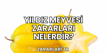 Yıldız Meyvesi Zararları Nelerdir?