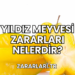 Yıldız Meyvesi Zararları Nelerdir?