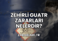 Zehirli Guatr Zararları Nelerdir?