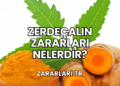 Zerdeçalın Zararları Nelerdir?