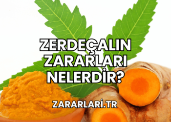 Zerdeçalın Zararları Nelerdir?
