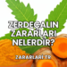 Zerdeçalın Zararları Nelerdir?