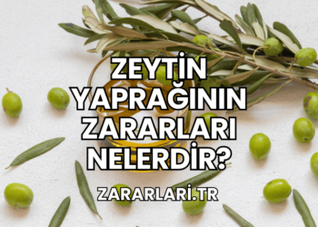 Zeytin Yaprağının Zararları Nelerdir?