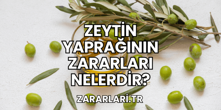Zeytin Yaprağının Zararları Nelerdir?