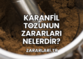 karanfil tozunun zararları Nelerdir?