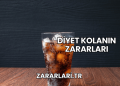 Diyet Kolanın Zararları