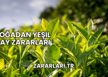 Doğadan Yeşil Çay Zararları