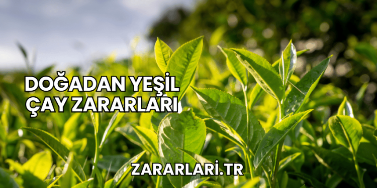 Doğadan Yeşil Çay Zararları