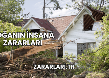 Doğanın İnsana Zararları