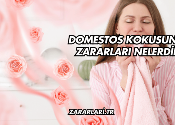 Domestos Kokusunun Zararları Nelerdir?