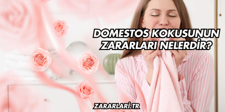 Domestos Kokusunun Zararları Nelerdir?
