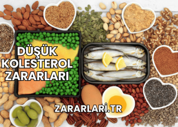 Düşük Kolesterol Zararları