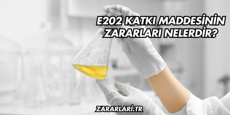 E202 Katkı Maddesinin Zararları Nelerdir?