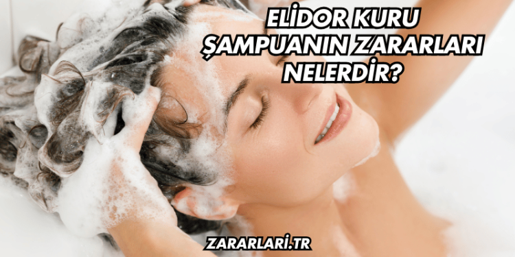 Elidor Kuru Şampuanın Zararları Nelerdir?