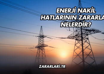 Enerji Nakil Hatlarının Zararları Nelerdir?
