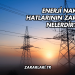 Enerji Nakil Hatlarının Zararları Nelerdir?