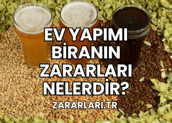 Ev Yapımı Biranın Zararları Nelerdir?