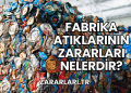 Fabrika Atıklarının Zararları Nelerdir?