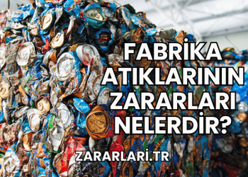Fabrika Atıklarının Zararları Nelerdir?