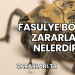 Fasulye Böceği Zararları Nelerdir?