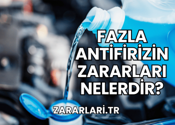 Fazla Antifirizin Zararları Nelerdir?