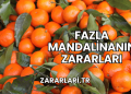 Fazla Mandalinanın Zararları