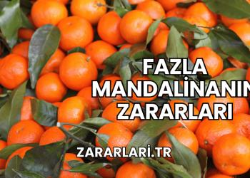 Fazla Mandalinanın Zararları