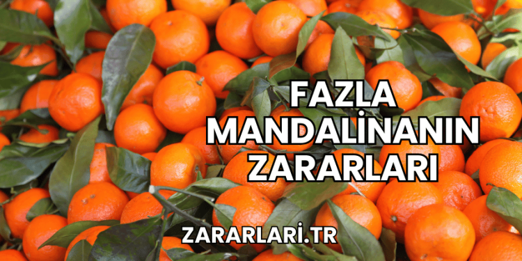 Fazla Mandalinanın Zararları
