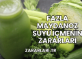 Fazla Maydanoz Suyu İçmenin Zararları