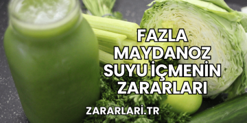 Fazla Maydanoz Suyu İçmenin Zararları