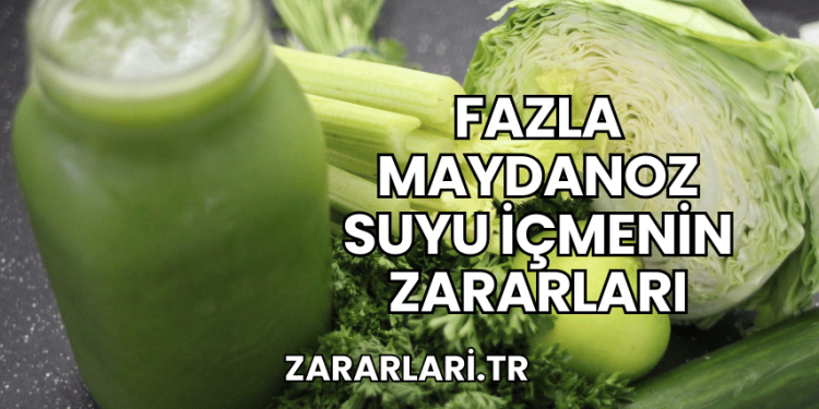 Fazla Maydanoz Suyu İçmenin Zararları