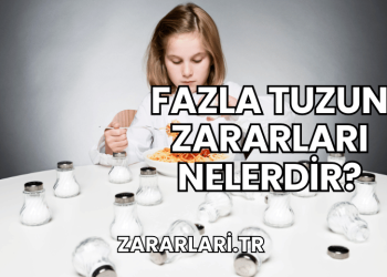 Fazla Tuzun Zararları Nelerdir?