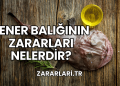 Fener Balığının Zararları Nelerdir?