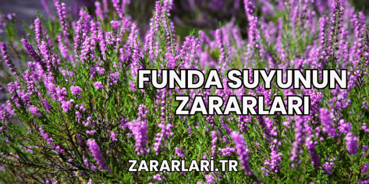 Funda Suyunun Zararları