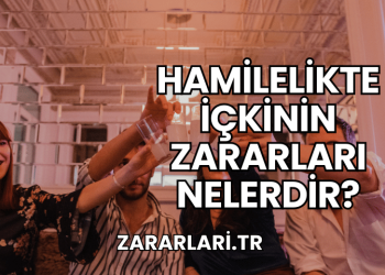 Hamilelikte İçkinin Zararları Nelerdir?